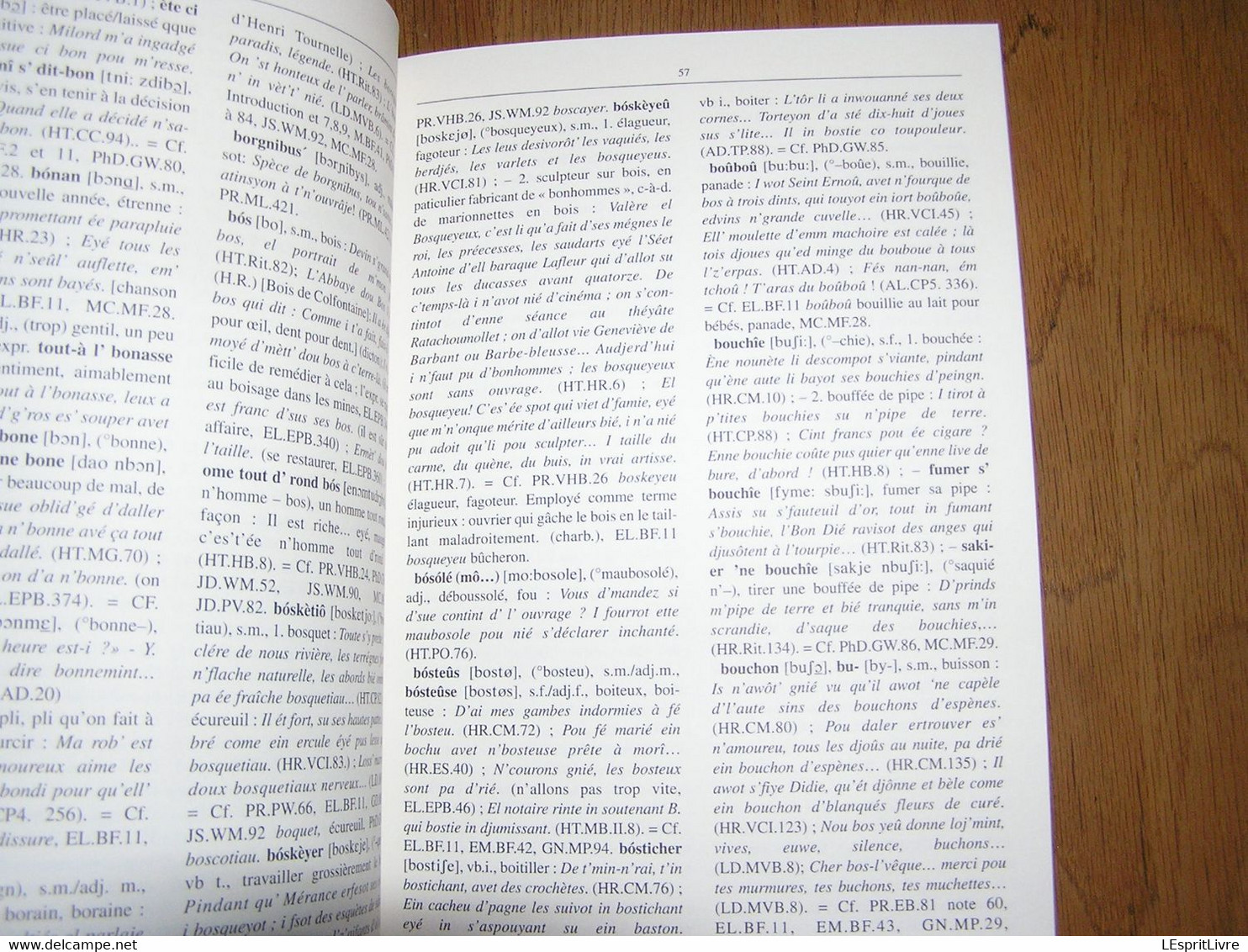 ESSAI D'ILLUSTRATION DU PARLER BORAIN Dictionnaire Capron Nisolle Régionalisme Hainaut Borinage Patois Dialecte Wallon