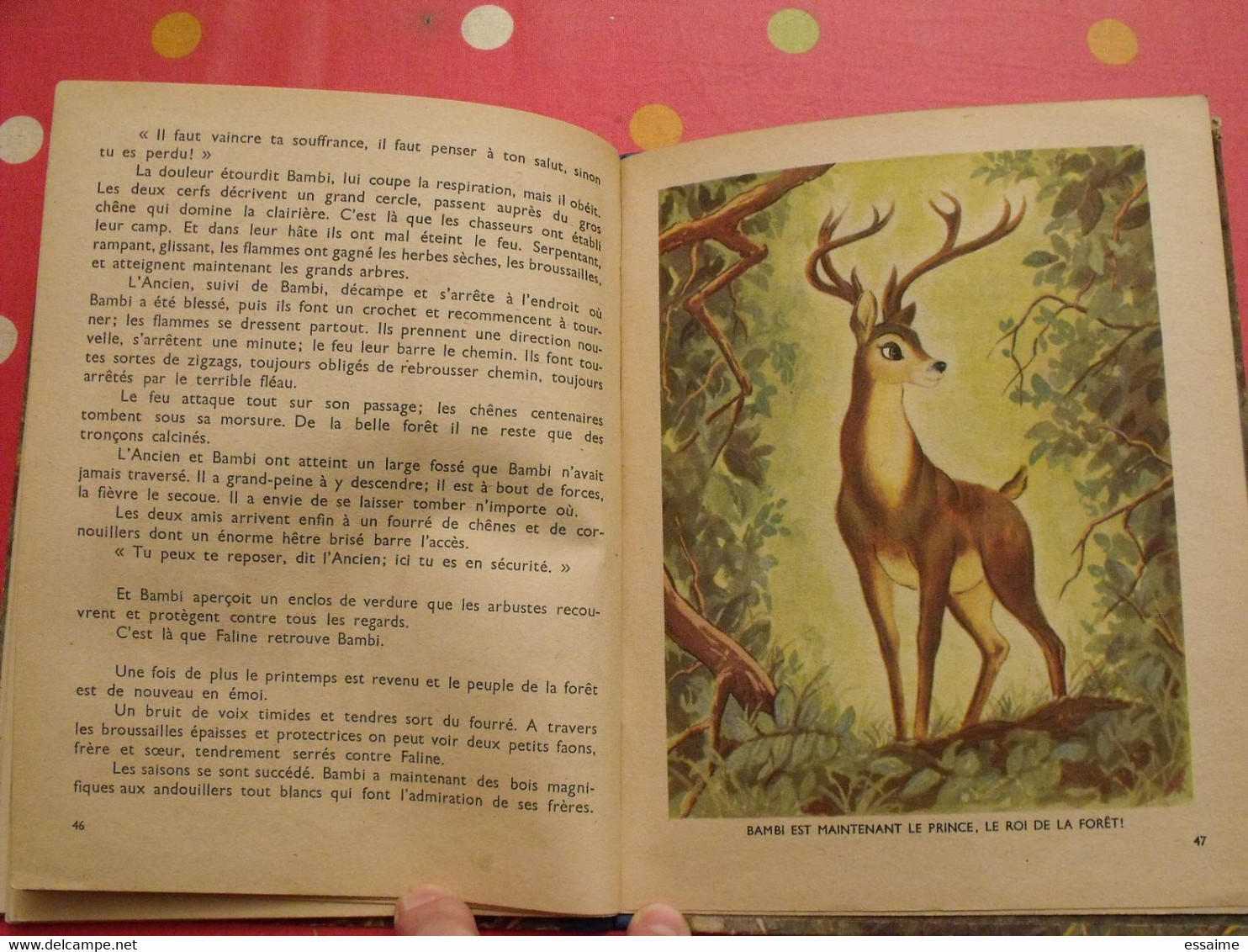 Walt Disney. Bambi d'après Félix Salten. Hachette 1948