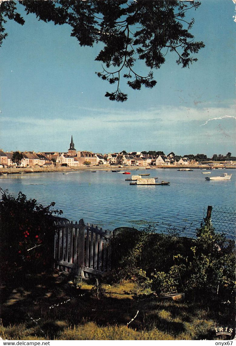 GF-LOCMARIAQUER-Quiberon-56-Morbihan- Vue Du Bourg - Golf Du Morbihan  - GRAND FORMAT - Locmariaquer