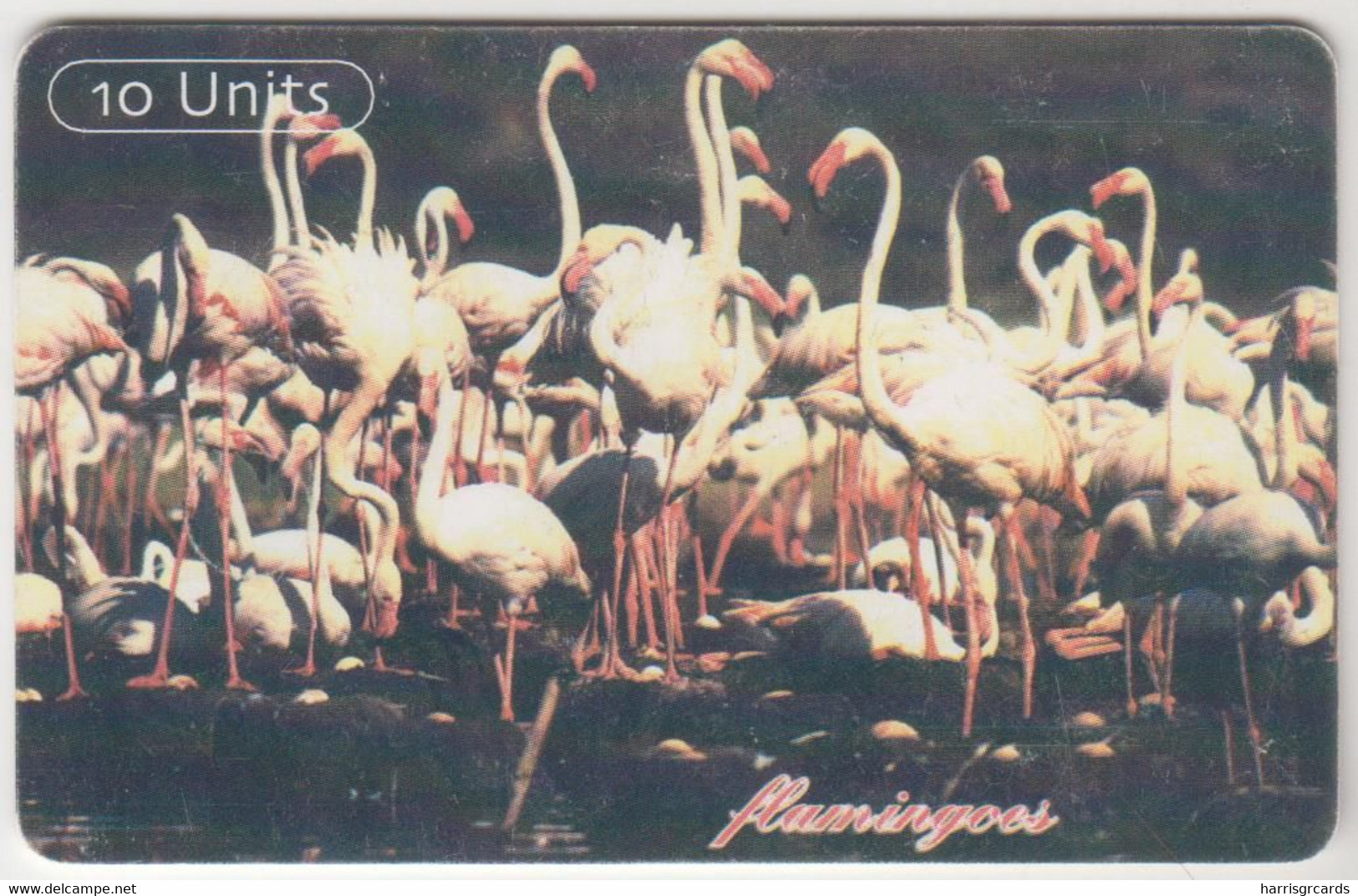 TANZANIA - Flamingos ,Chip:GEM5 (Red), 10 U , Used - Tansania