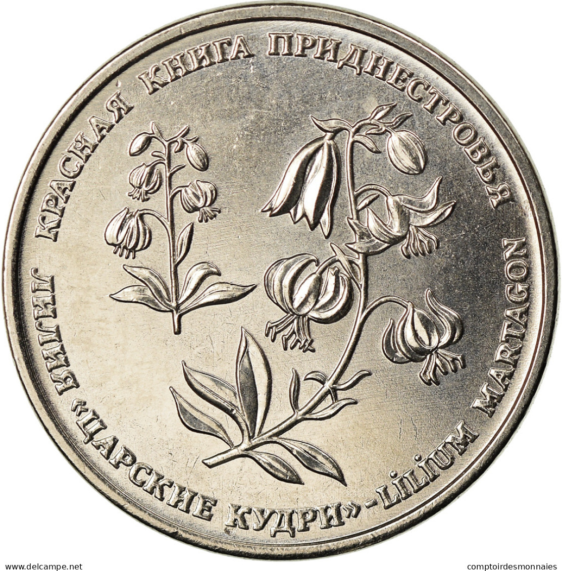 Monnaie, Transnistrie, Rouble, 2019, Lys Martagon, SPL, Copper-nickel - Moldova