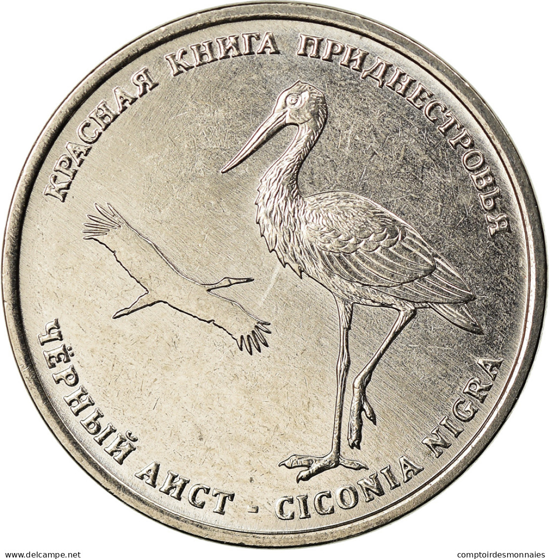 Monnaie, Transnistrie, Rouble, 2019, Cigogne, SPL, Copper-nickel - Moldova