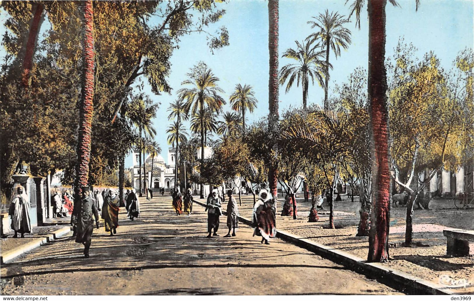 Algérie - LAGHOUAT - Place De La République - Collection Attalah Bouameur, Musée Oriental - Laghouat