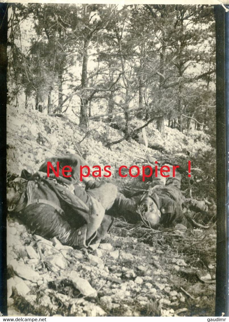 PHOTO FRANCAISE - CADAVRES PRES DU BOIS RAQUETTE SECTEUR DE SOUAIN - TAHURE MARNE 1915 - GUERRE 1914 1918 - 1914-18