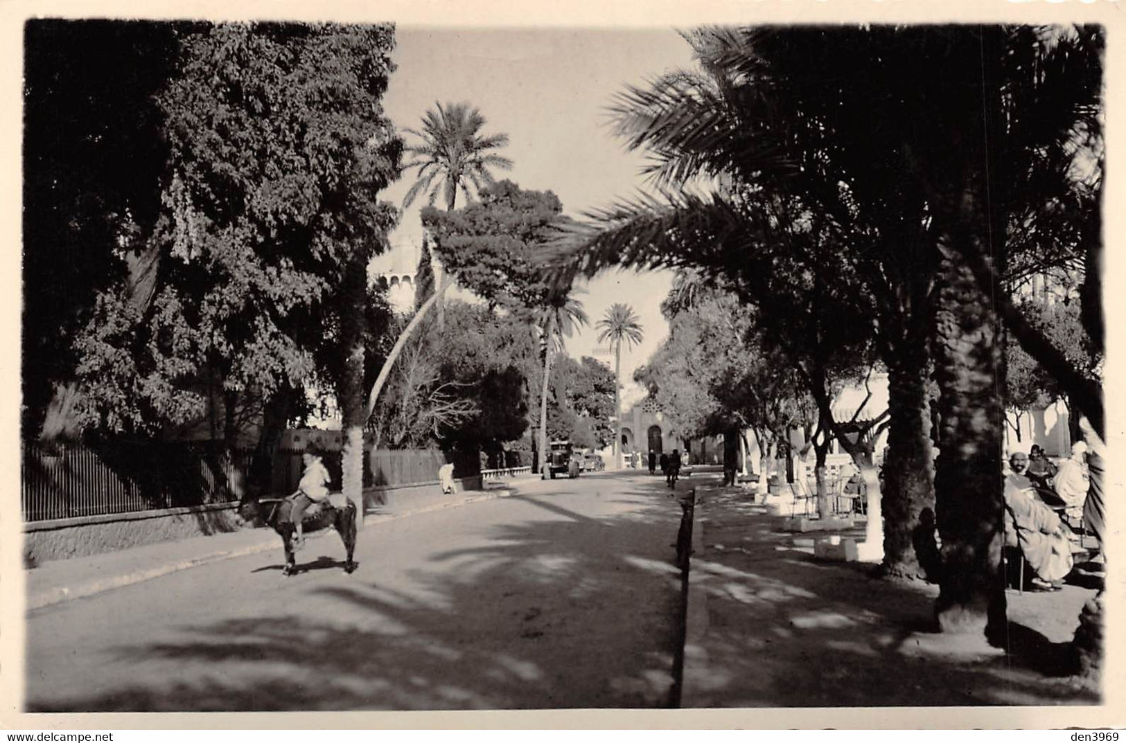 Algérie - LAGHOUAT - Place De La République - Epreuve De L'éditeur - Tirage Photo - Laghouat