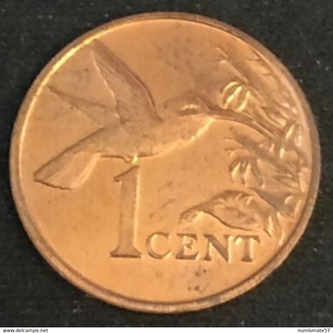 TRINIDAD AND TOBAGO - 1 CENT 1995 - Oiseau Colibri - KM 29 - Trinité-et-Tobago - Trinidad & Tobago