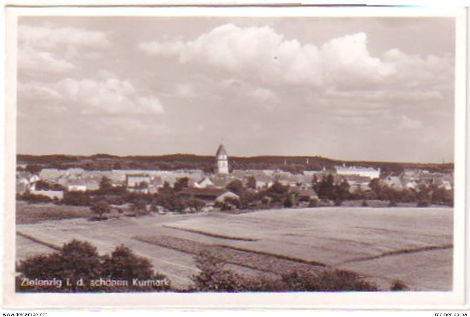 29335 Ak Zielenzig In Der Schönen Kurmark Um 1940 - Non Classés