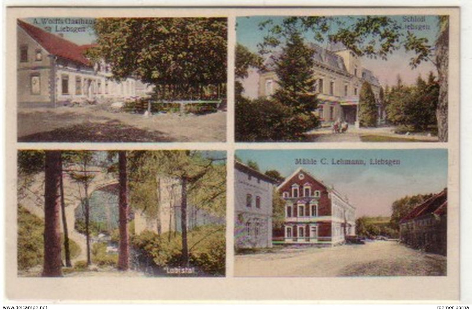 29947 Mehrbild Ak Liebsgen Gasthaus Usw. Um 1920 - Zonder Classificatie