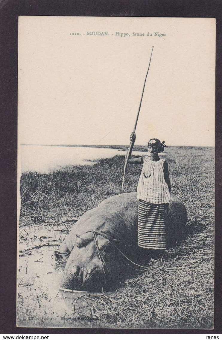 CPA Hippopotame Chasse Soudan Afrique Noire écrite - Hippopotames