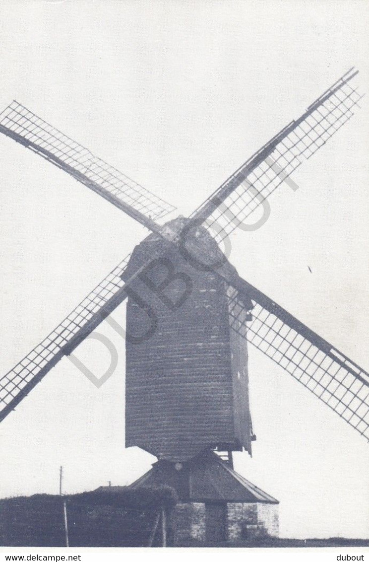 Postkaart - Carte Postale WAANRODE - Molen St Annaveld 1815-1957 (C241) - Kortenaken