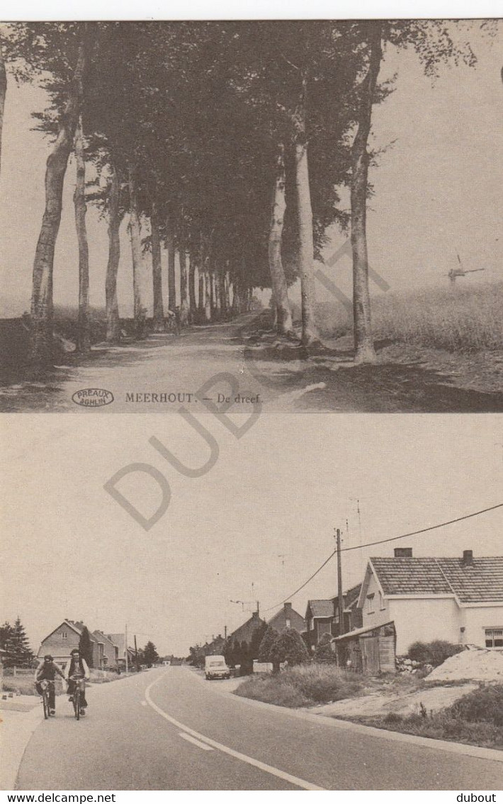Postkaart - Carte Postale MEERHOUT - De Dreef  - Repro! Genummerd (C237) - Meerhout