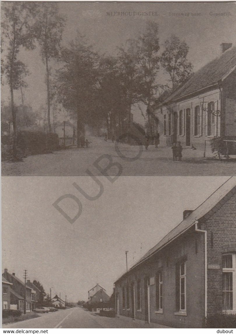 Postkaart - Carte Postale MEERHOUT - Gestel - Steenweg Naar Genendijk  - Repro! Genummerd (C236) - Meerhout