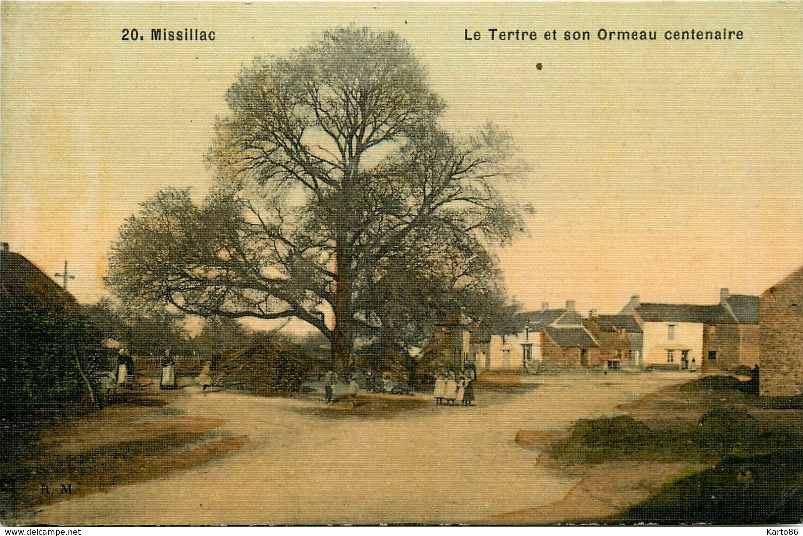 Missillac * Le Tertre Et Son Ormeau Centenaire * Arbre * Cpa Toilée Colorisée - Missillac