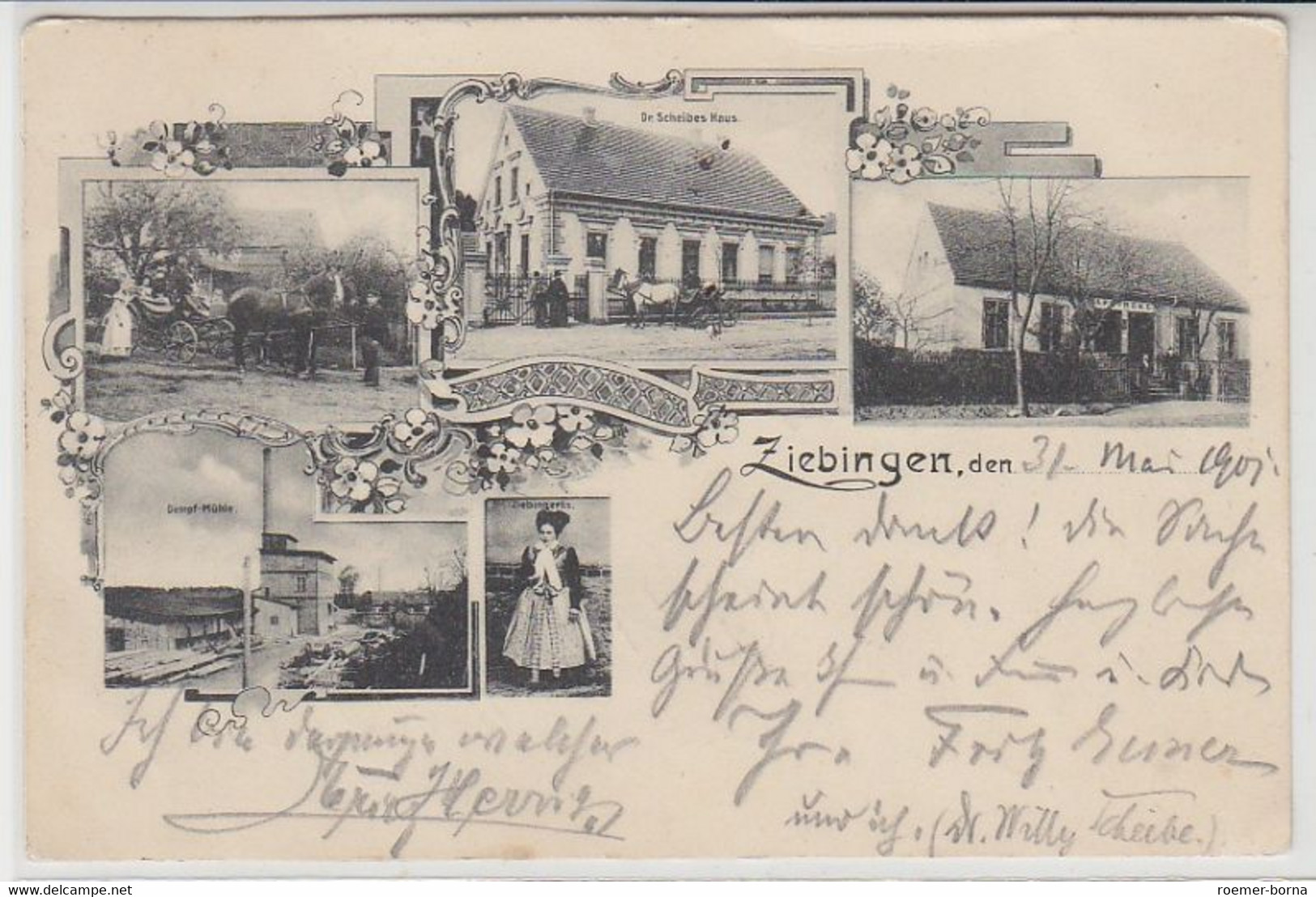 43360 Mehrbild Ak Ziebingen Gasthaus Usw. 1901 - Non Classificati