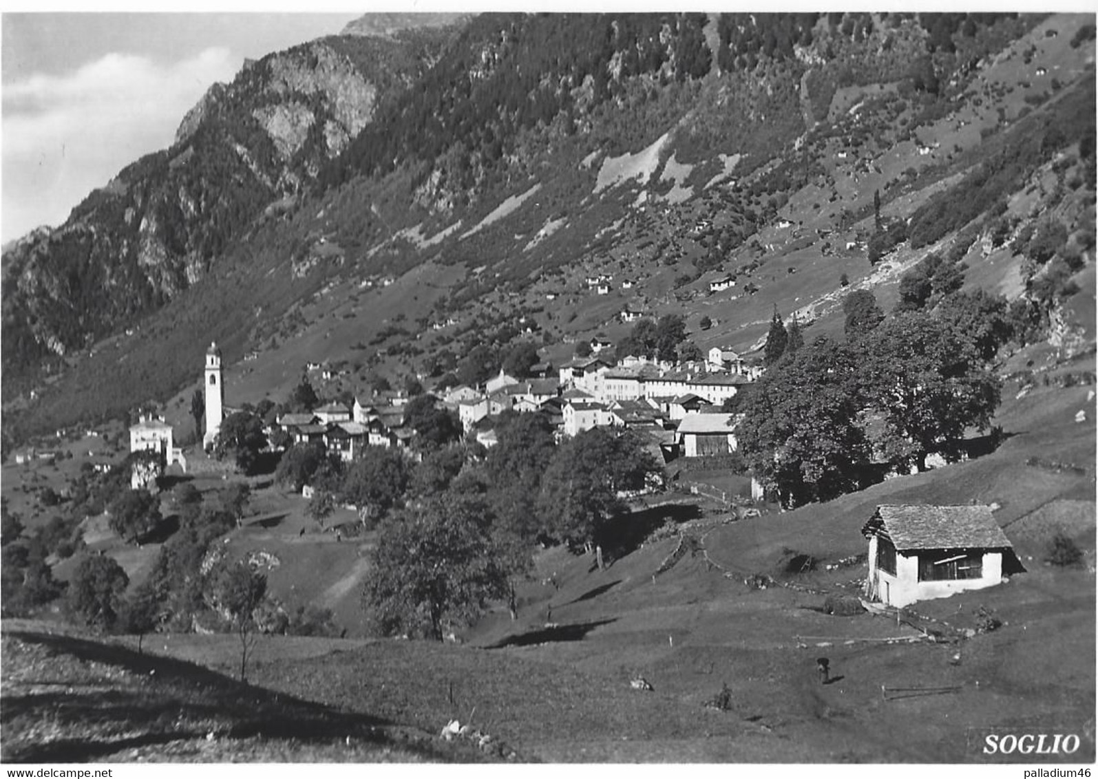 GRISONS GRAUBÜNDEN - SOGLIO 3 X - NEUVE - Photo Pomatti Castasegna Nos 8 - 17 - 56 - Pas Circulé - Castasegna