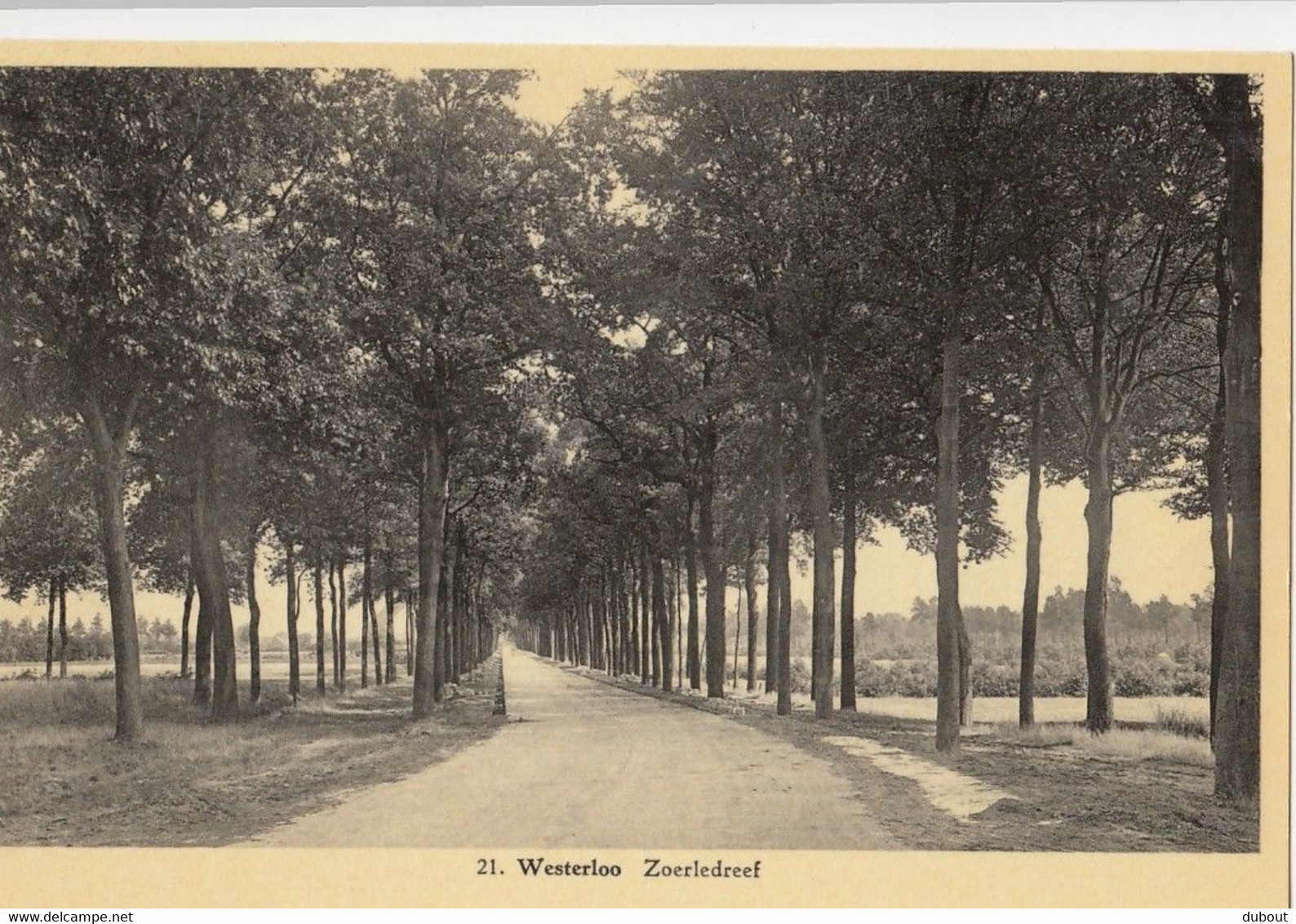 Postkaart/Carte Postale WESTERLO - Zoerledreef (C277) - Westerlo