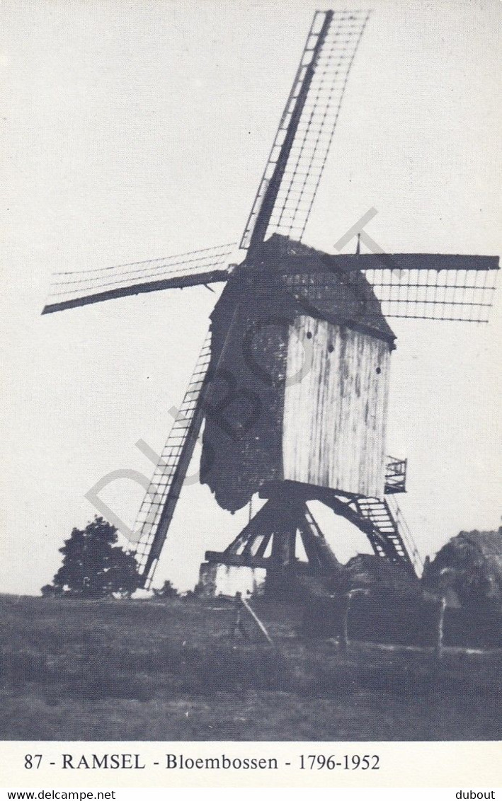 Postkaart/Carte Postale RAMSEL - Molen - Bloembossen (C246) - Herselt