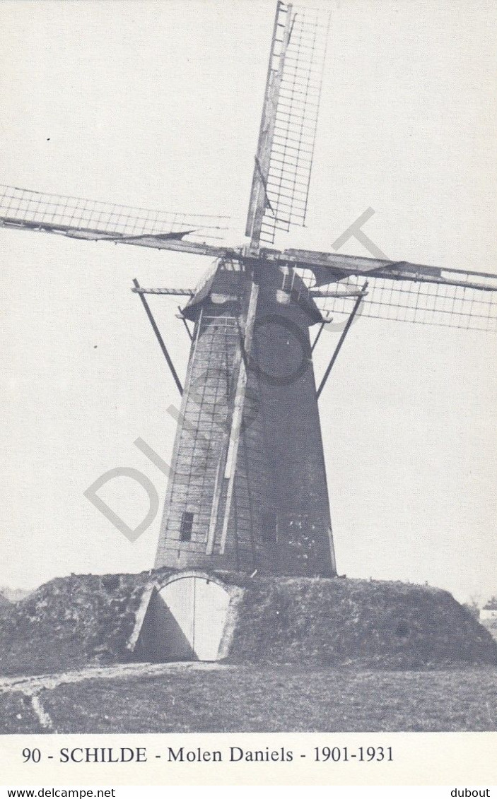 Postkaart/Carte Postale SCHILDE - Molen - Molen Daniels (C242) - Schilde