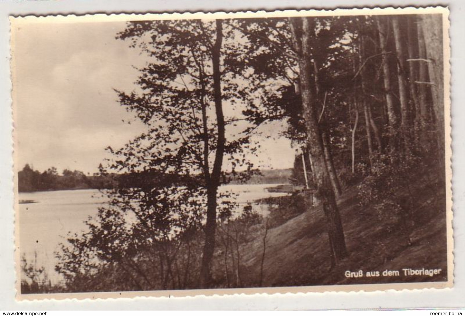 56731 Feldpost Ak Gruß Aus Dem Tiborlager Bei Schiwebus 1944 - Ohne Zuordnung