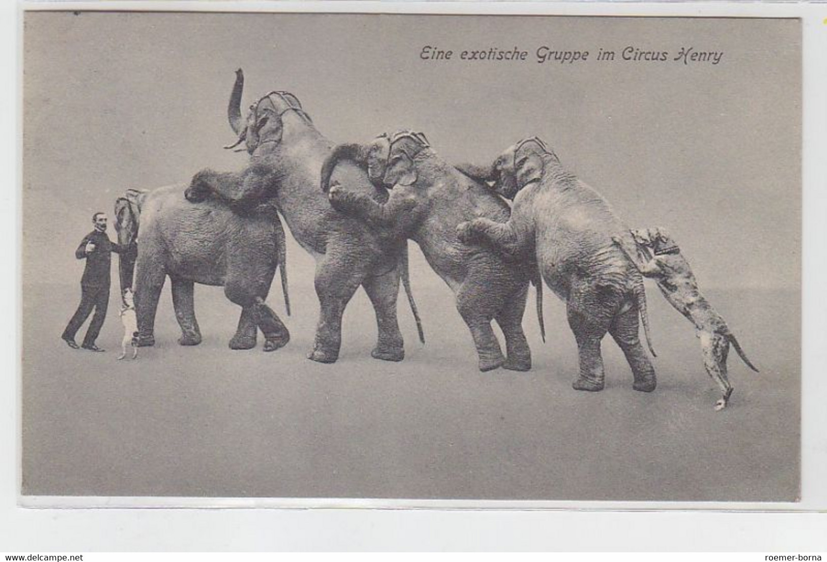 63025 Zirkus Ak Eine Exotische Gruppe Im Circus Henry 1909 - Sonstige & Ohne Zuordnung