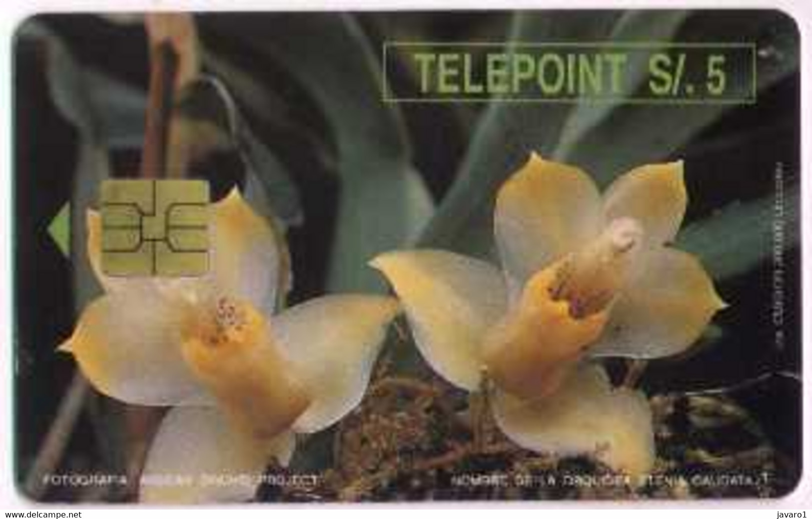 PERU : PTE-046 5 NS ORQUIDEA STENIA CAUDATA White Rev. USED - Perú