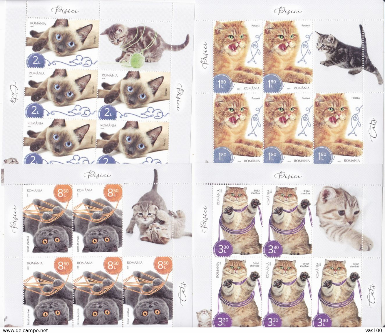 CATS DOMESTICS, MINISHEET 2020 ,MNH ** ROMANIA. - Autres & Non Classés