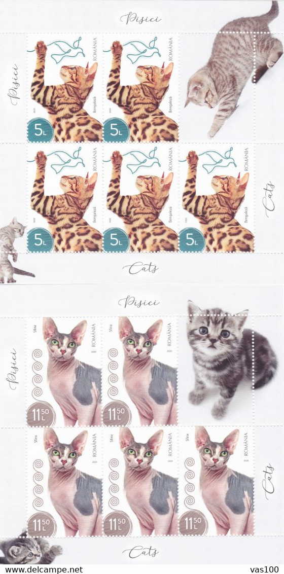 CATS DOMESTICS, MINISHEET 2020 ,MNH ** ROMANIA. - Sonstige & Ohne Zuordnung