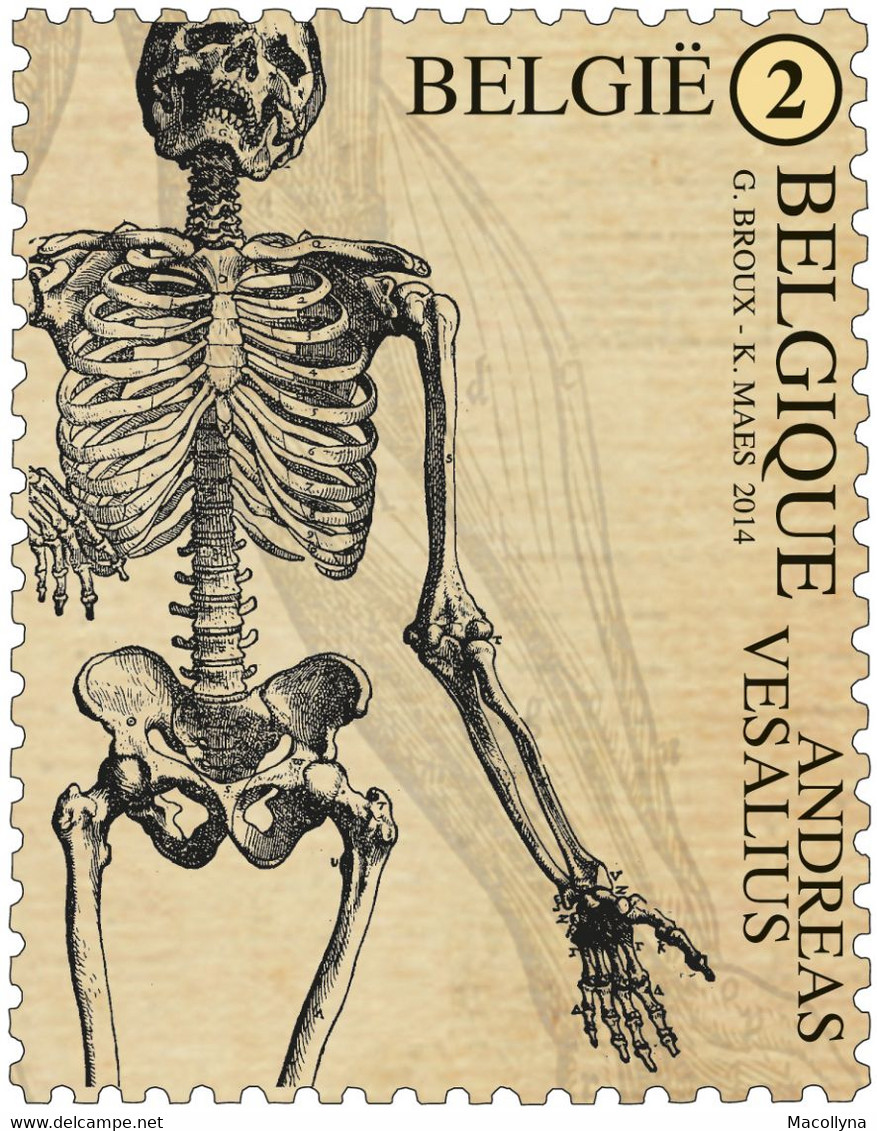 Blok 215** Anatomie Van Het Menselijk Lichaam 4416/20** Andreas Vesalius**  De Humani Corporis Fabrica Vesalius MNH - 1961-2001