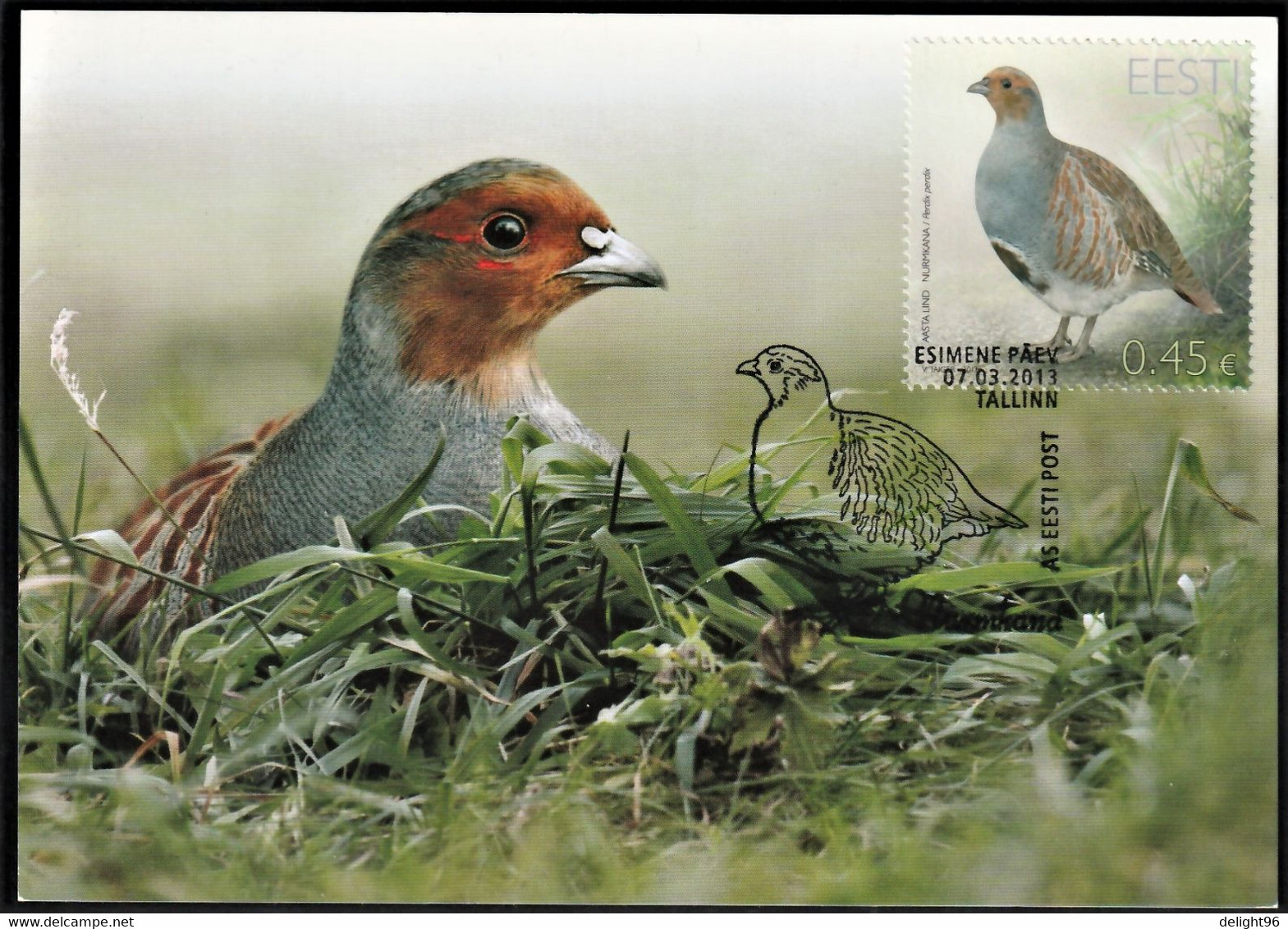 2013 Estonia Bird Of The Year: Partridge Maximum Card - Pernice, Quaglie