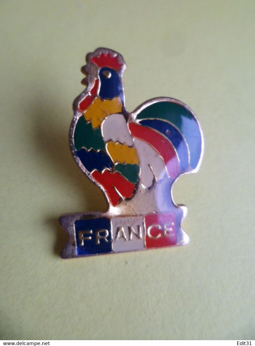 Pins Sport RUGBY COQ France - Rugby