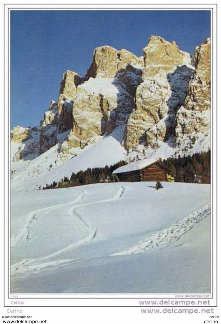 LO  STEVIA (BL):  VAL  GARDENA  -  FG - Escalade