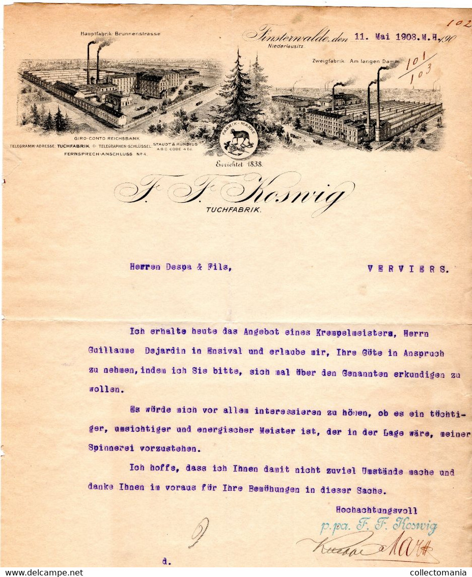J.F. Kosnig Tuchfabrik FINSTERWALDE Niederlausitz Hauptfabrik Brunnenstrasse Zweigfabrik Am Langen Damm 1903 - 1800 – 1899