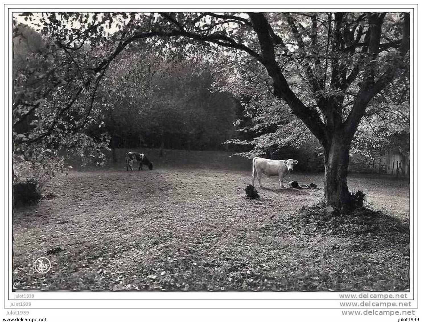 BOURSEIGNE - NEUVE ..-- GEDINNE ..-- Un Coin Paisible Près Du MOULIN . - Gedinne