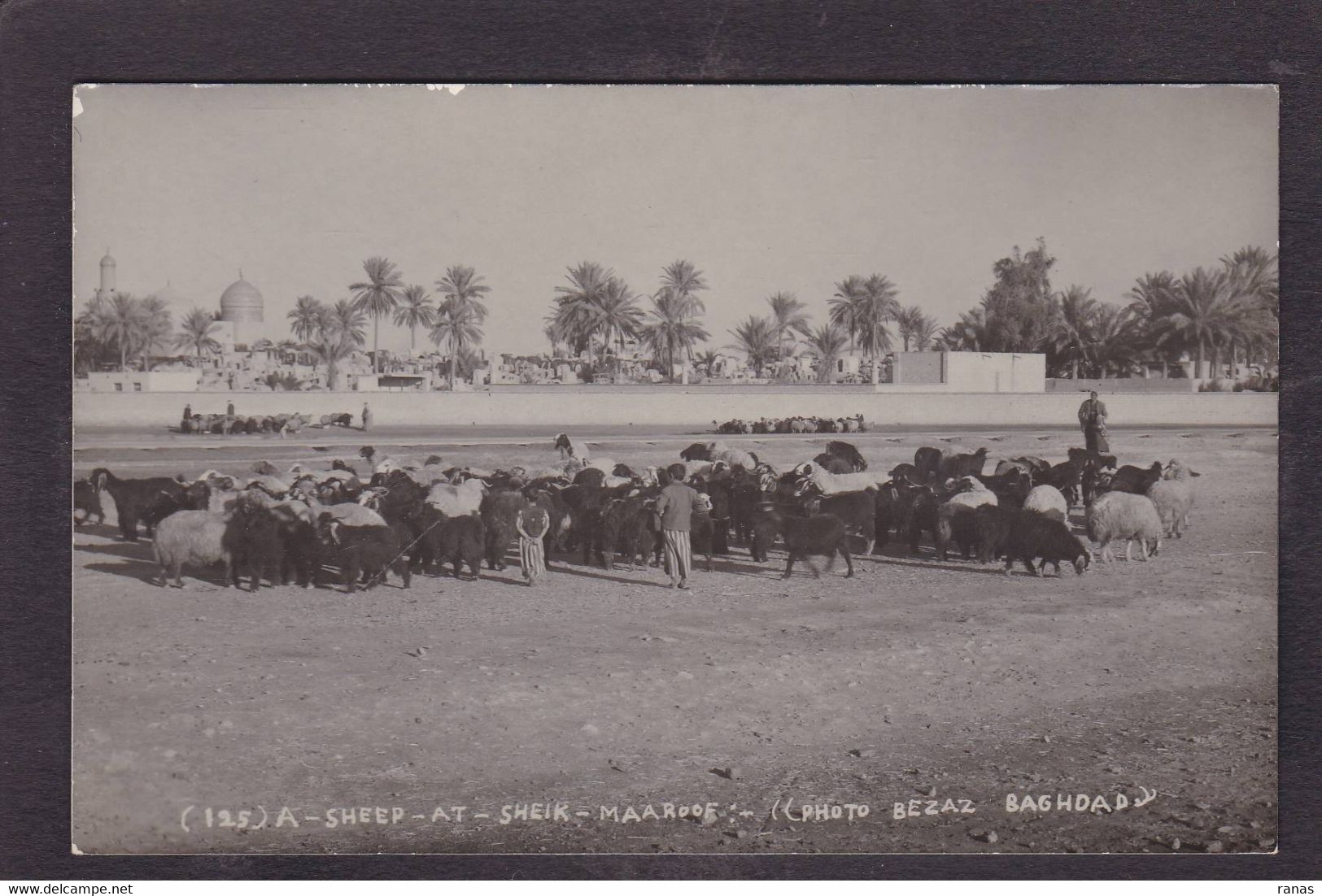 CPA Iraq Bagdag Non Circulé Carte Photo - Irak