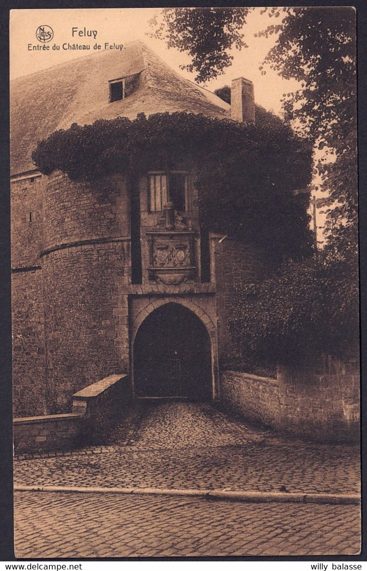 +++ CPA - FELUY - Seneffe - Entrée Du Château - Nels  // - Seneffe