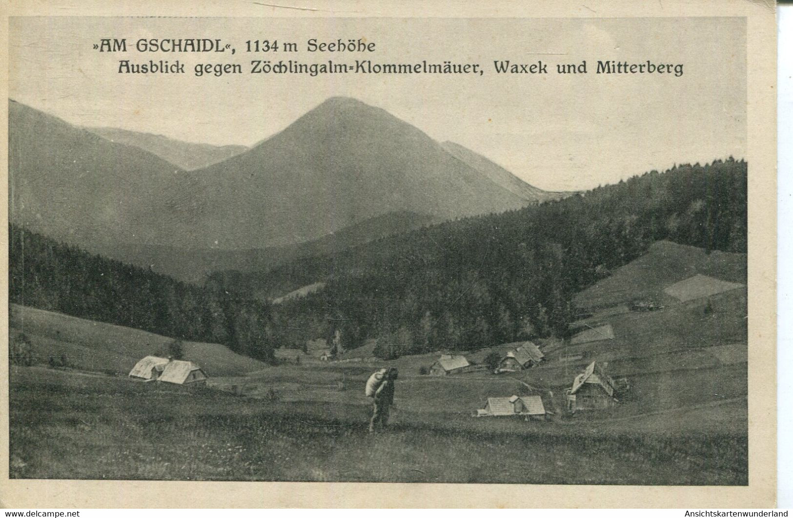 010131  Am Gschaidl - Ausblick Gegen Zöchlingalm-Klommelmäuer, Waxek Und Mitterberg  1925 - Raxgebiet