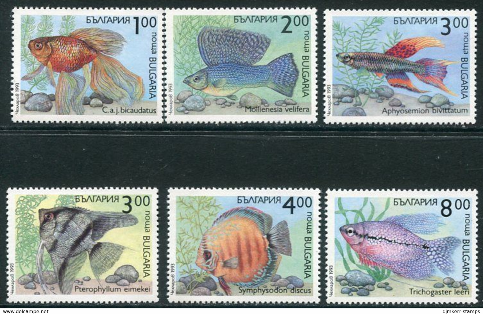 BULGARIA 1993 Tropical Fish MNH / **.  Michel 4049-54 - Nuovi