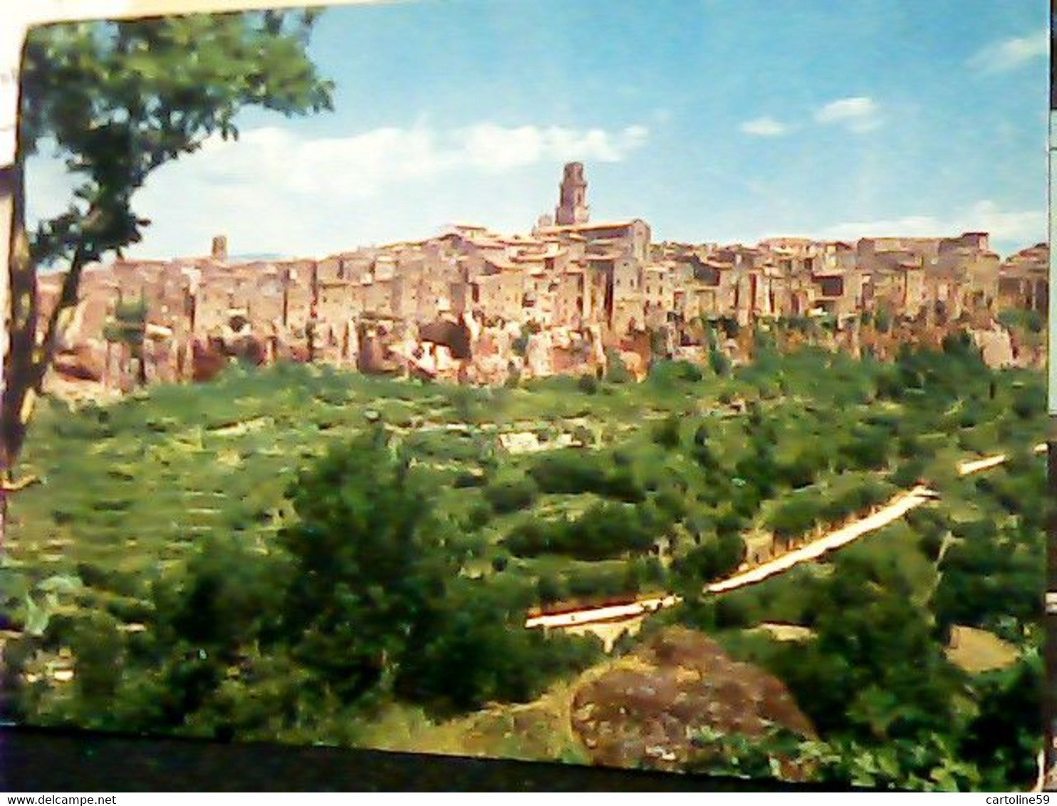 6 CARD PITIGLIANO GROSSETO  VB1954\86 HW3589 - Grosseto