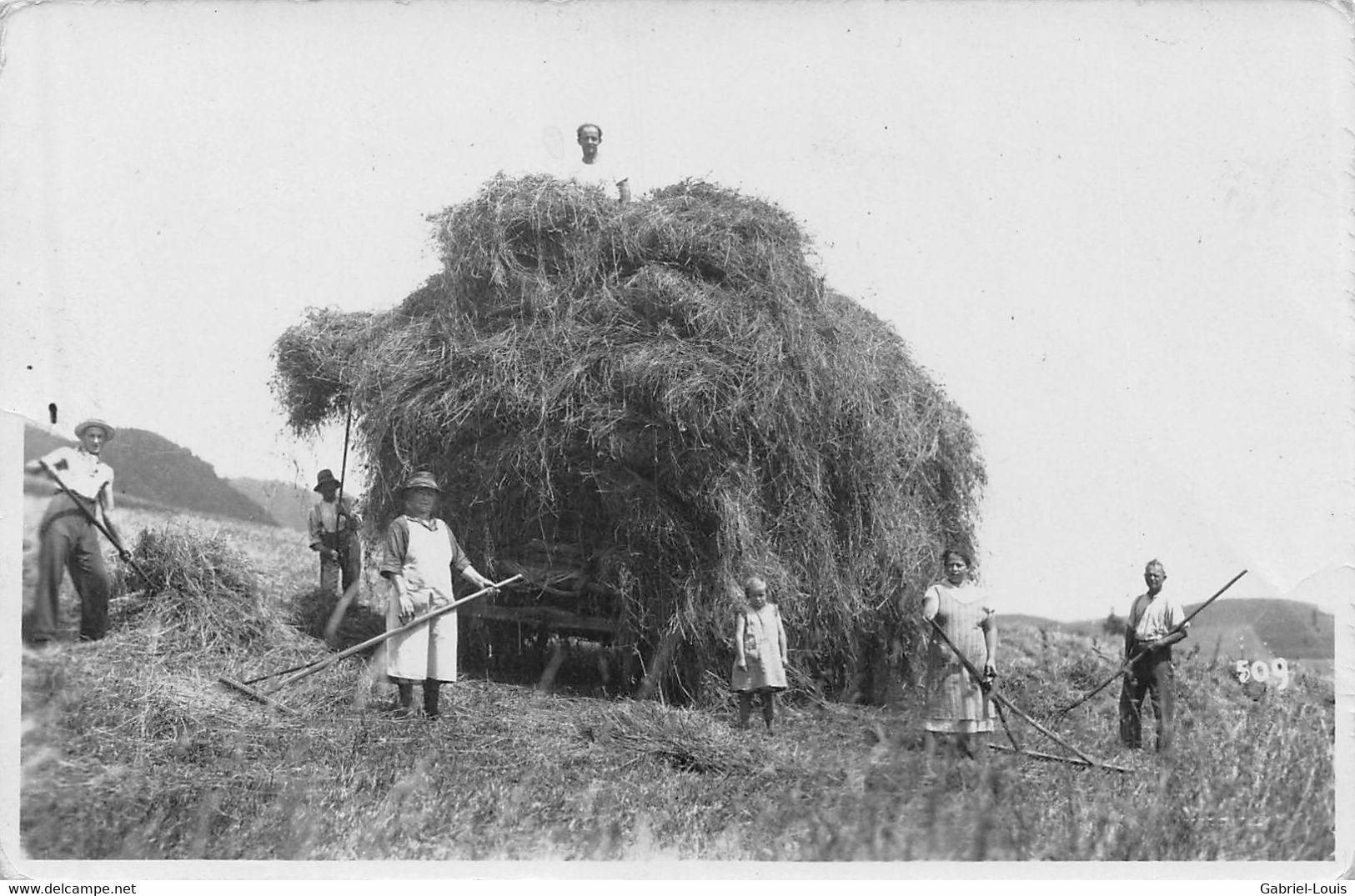 Carte Photo Dans Un Lot Du Canton De Berne Bern - Bauernfamilie, Die Heu Macht - Berna