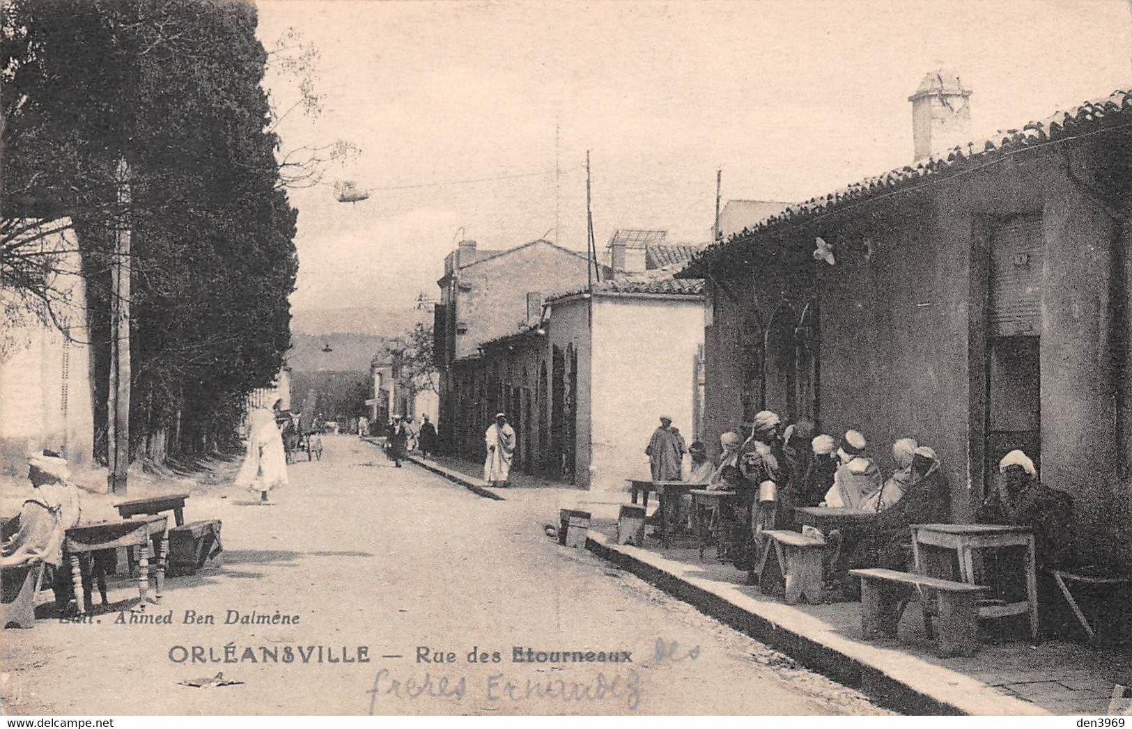 Algérie - ORLEANSVILLE (Chlef) - Rue Des Etourneaux - Edit. Ahmed Ben Dalmène - Chlef (Orléansville)