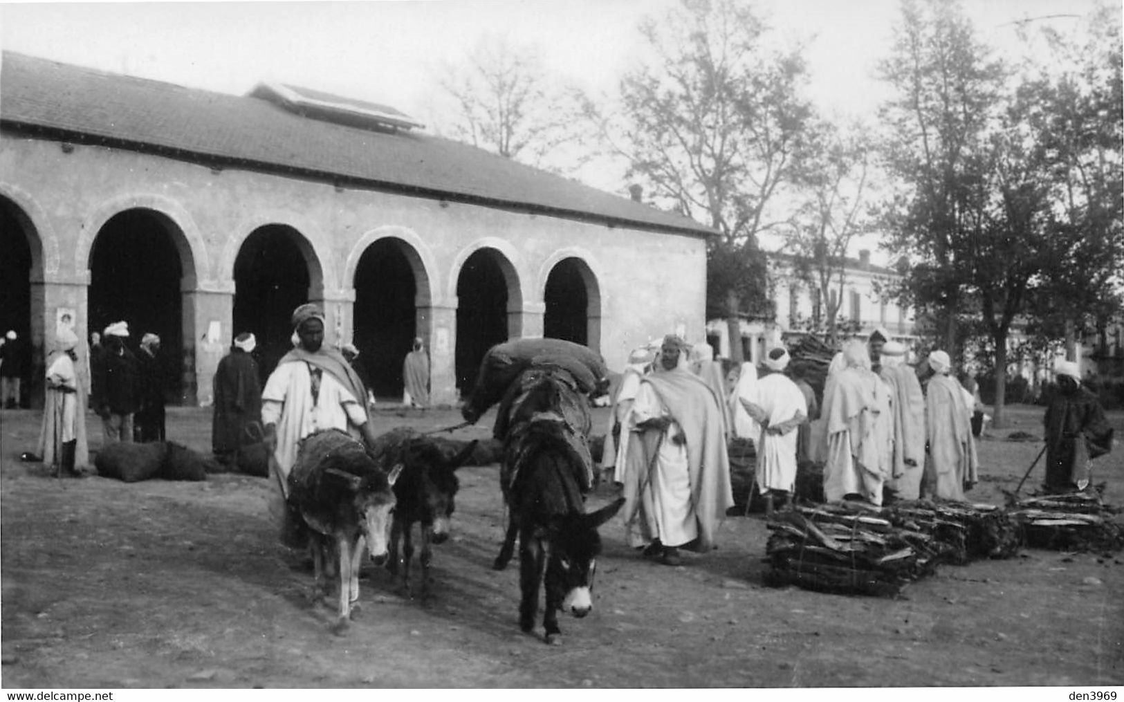 Algérie - ORLEANSVILLE (Chlef) - Halle Aux Grains Et Marché En Plein Air - Anes - Carte-Photo Epreuve De L'éditeur - Chlef (Orléansville)