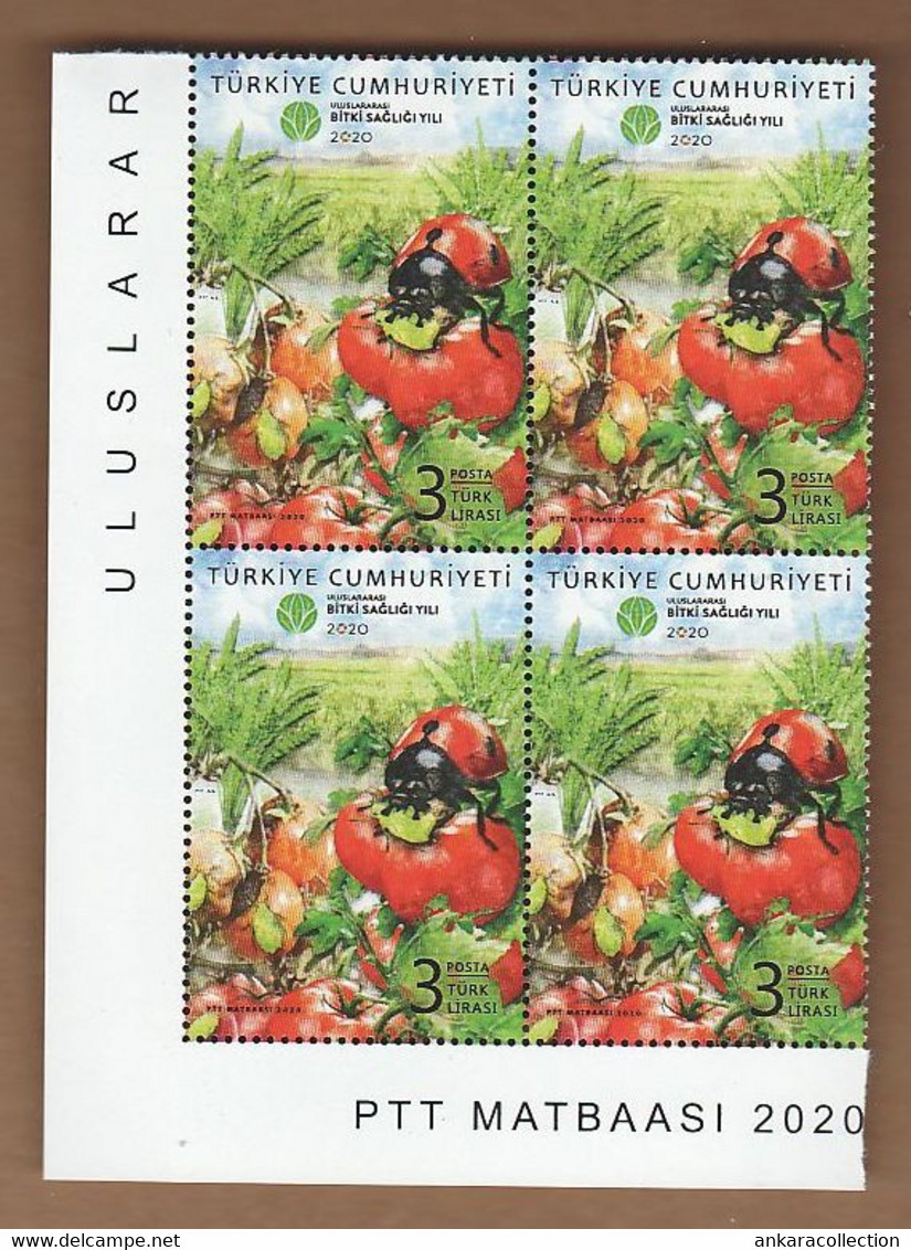 AC - TURKEY STAMP -  2020 INTERNATIONAL YEAR OF PLANT HEALTH MNH BLOCK OF FOUR 24 SEPTEMBER 2020 - Gebraucht