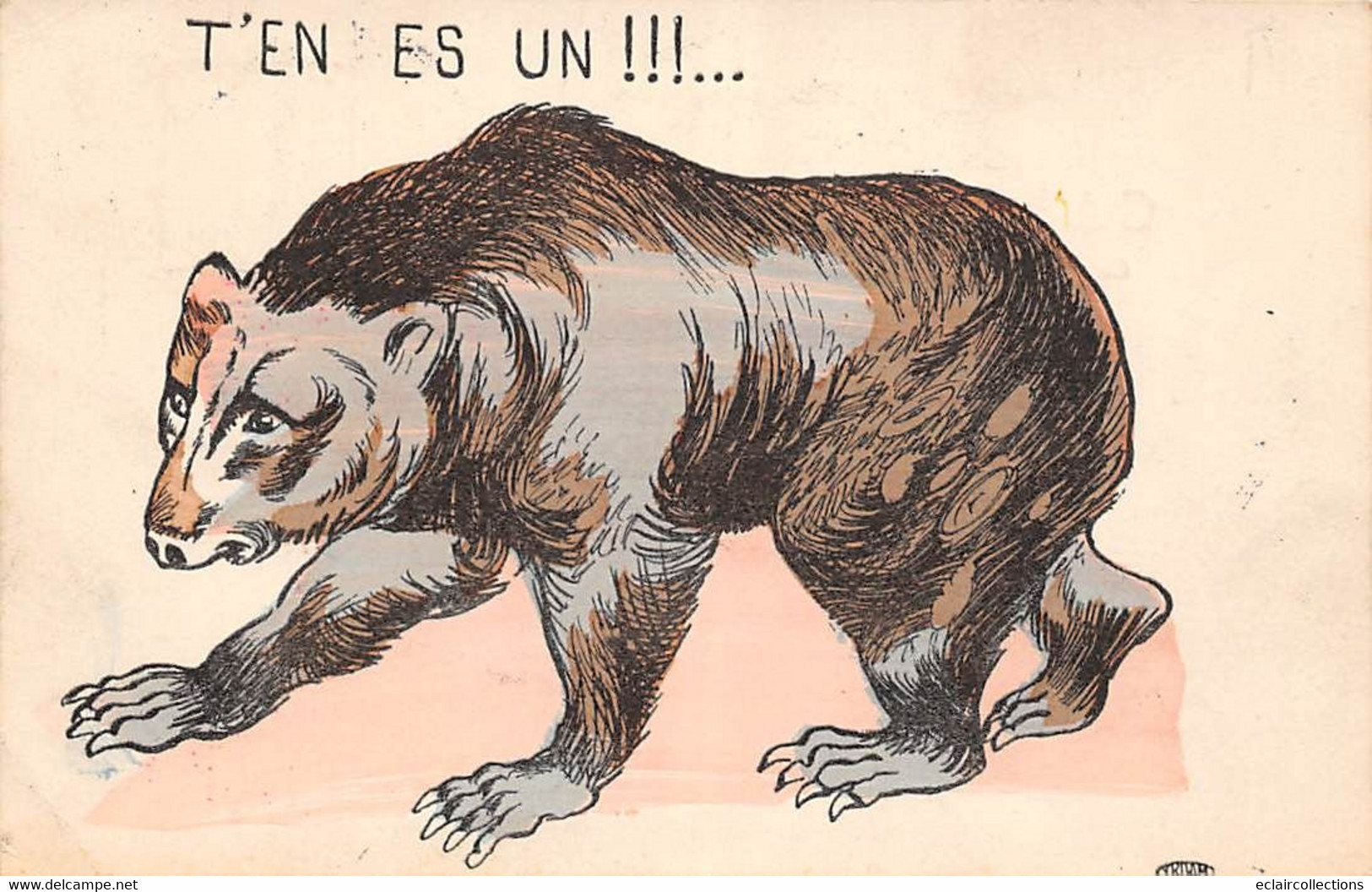 Thème:  Ours.       Carte  Dessinée Caricature Humoristique : T'es Un Ours    (voir Scan) - Bears