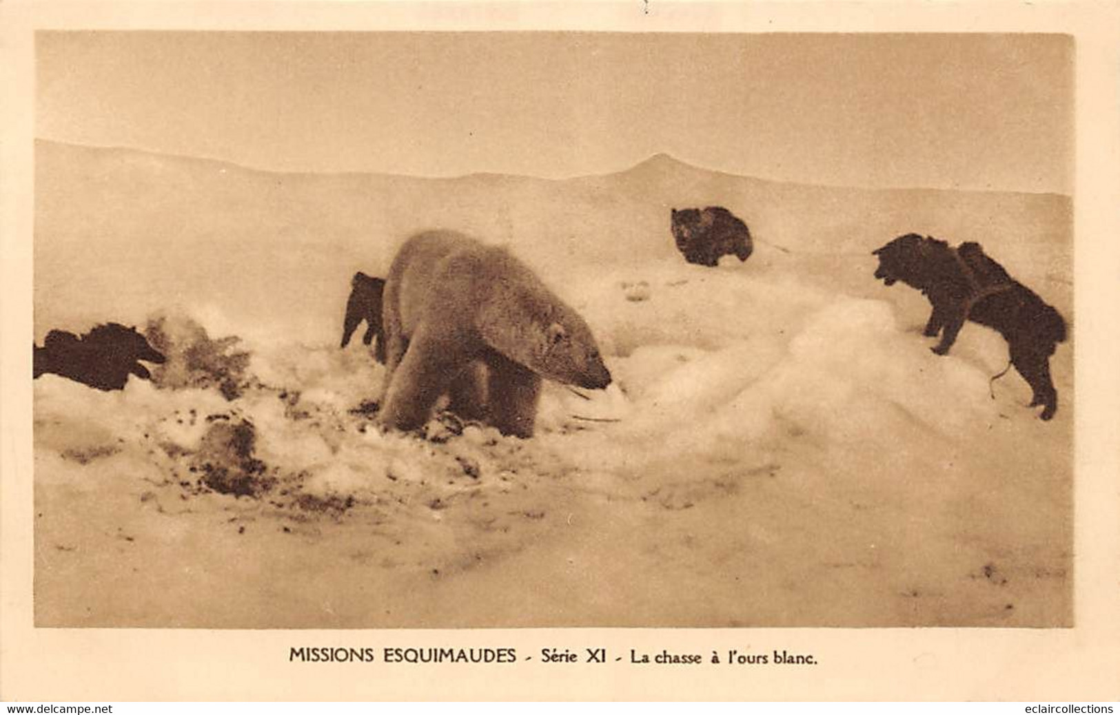 Thème:  Ours.       Missions Esquimaudes. La Chasse A L'ours Blanc   (voir Scan) - Beren