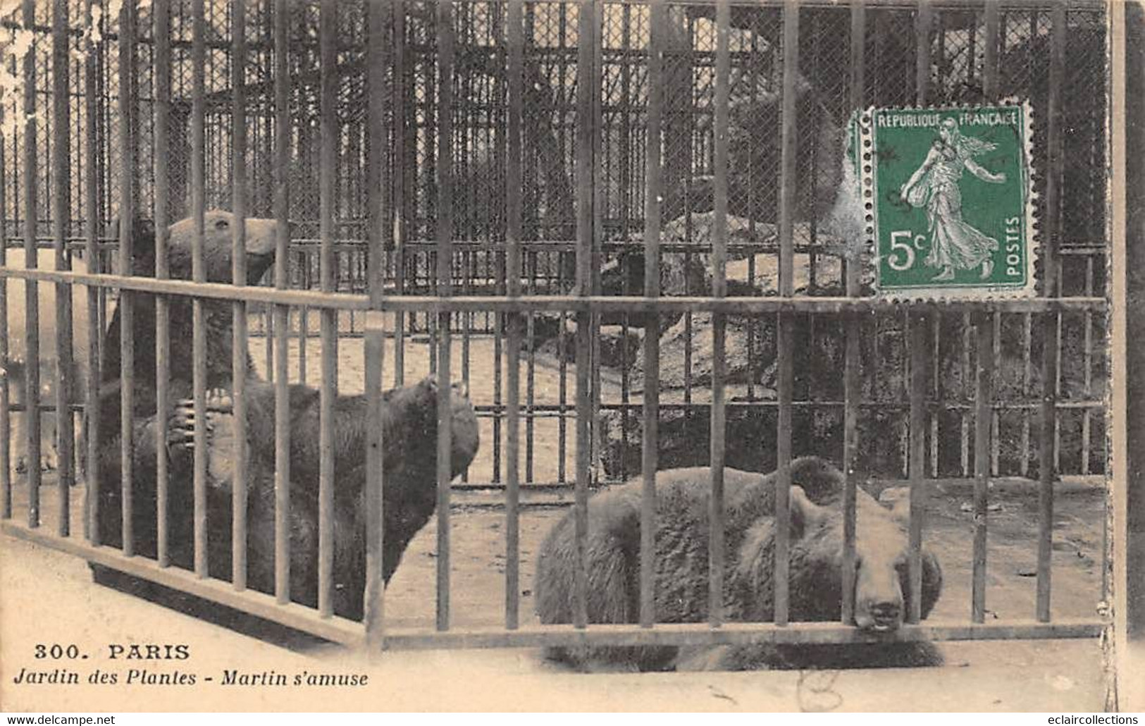 Thème:  Ours.       Paris   75  Jardin Des Plantes Ours Martin  S'amuse    (voir Scan) - Bears