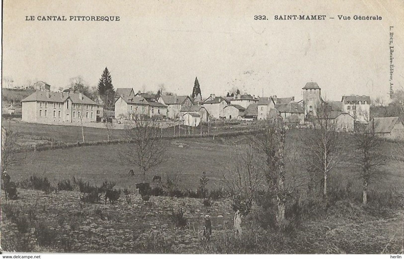 15 - SAINT-MAMET-LA-SAVETAT - Vue Générale - Saint-Mamet-la-Salvetat