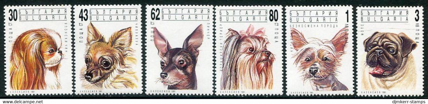 BULGARIA 1991 Dogs MNH / **.  Michel 3929-34 - Ungebraucht