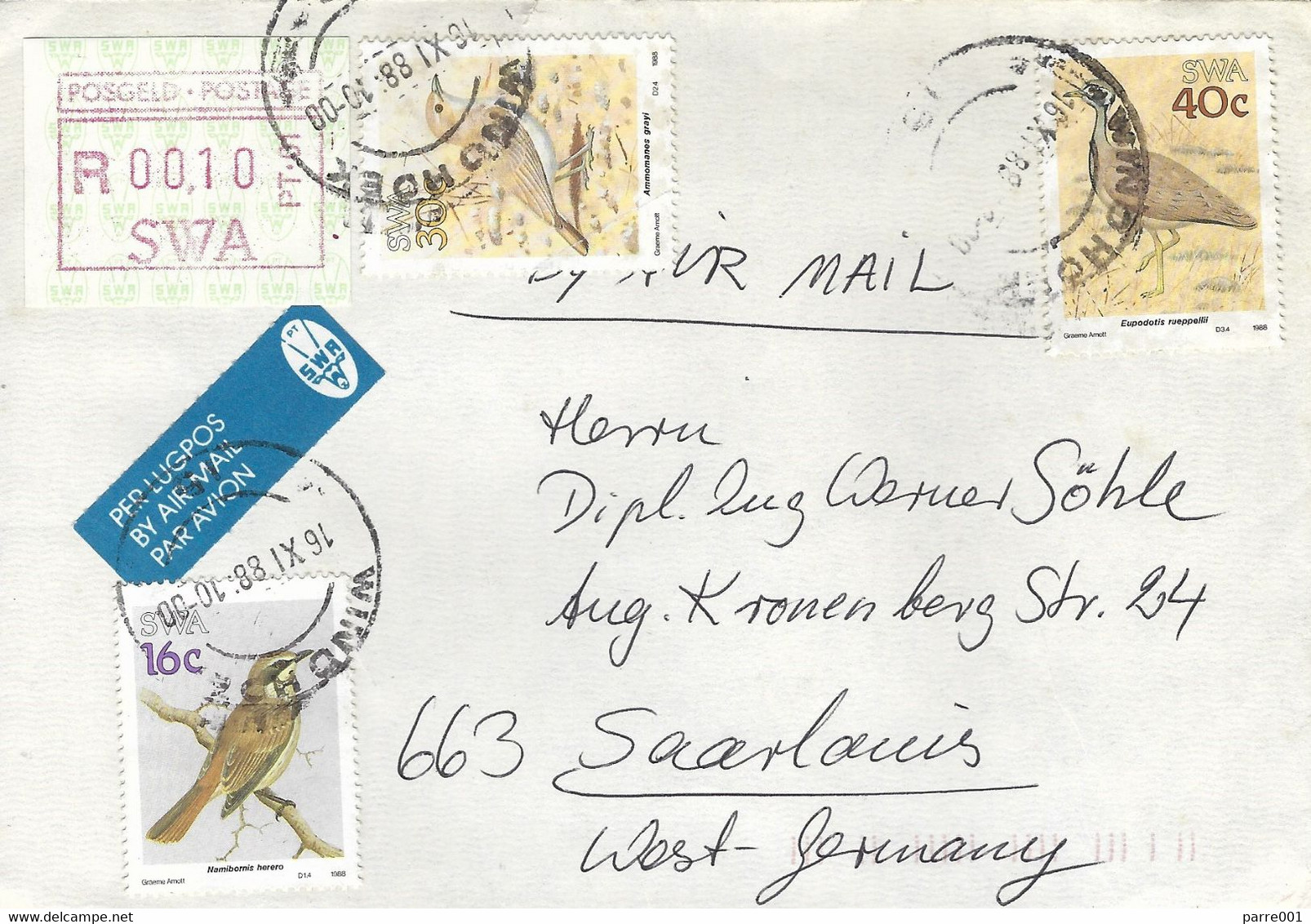 SWA Namibia 1988 Windhoek Bird Rüppell's Bustard Eupodotis Rueppellii ATM Cover - Gallináceos & Faisanes