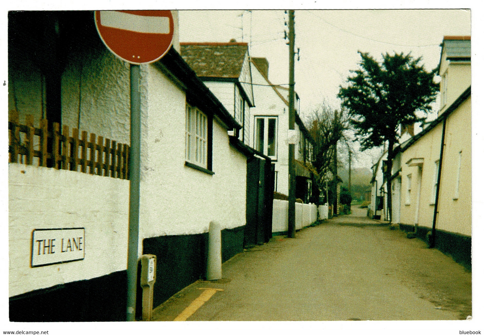 Ref 1444 - 1998 Postcard - The Lane - West Mersea Near Colchester Essex - Colchester