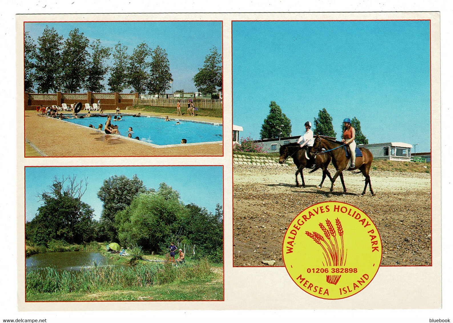 Ref 1444 - 2003 Postcard - Waldegraves Holiday Park - Mersea Island Colchester Essex - Colchester